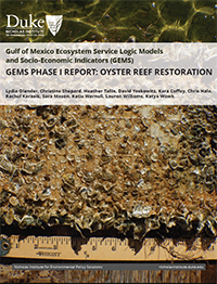 GEMS-Phase-I-Report-Oyster-Reef-Restoration-Cover