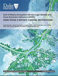Gems-Phase-II-Report-Coastal-Restoration封麵圖片