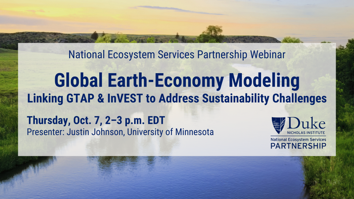 全球地球經濟建模：將GTAP和投資聯係起來以應對可持續性挑戰