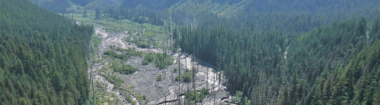 Tahoma Creek泛濫平原圖片來源:Mount Rainier NPS