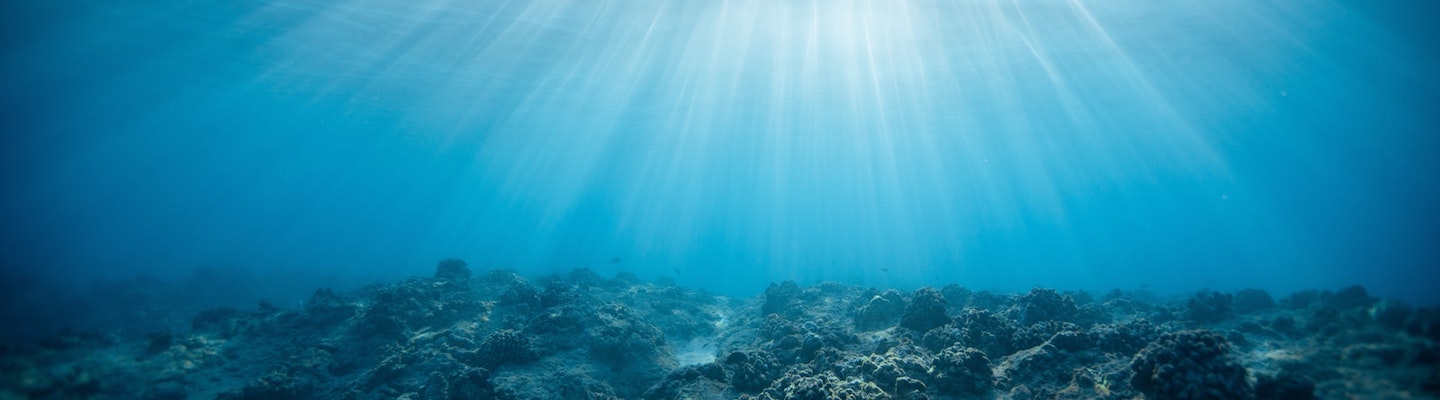 海底的水下圖像。