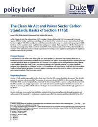 《清潔空氣法》和電力行業碳標準:第111條(d)的基本知識