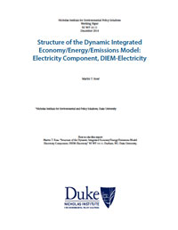 結構的動態綜合經濟/能源/排放模型:電力組件,DIEM-Electricity