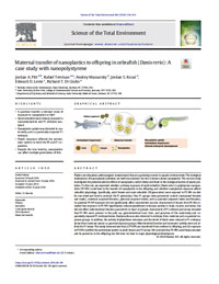 在斑馬魚孕產婦Nanoplastics轉移到後代(鮐魚類):一個案例研究Nanopolystyrene