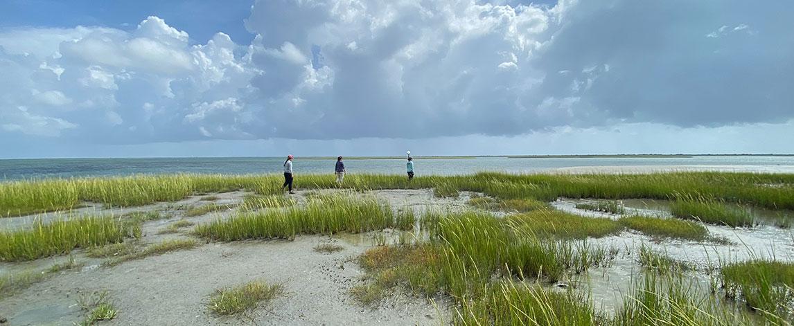 Beneficial Use of Dredge Sediment for Marsh Resilience